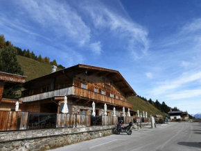 New holiday home on the Alm with terrace and balcony